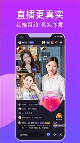 猫咪社区官网在线最新免费