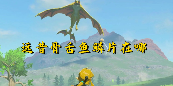 《塞尔达传说王国之泪》远昔骨舌鱼的鳞片怎么获得-远昔骨舌鱼鳞片位置一览