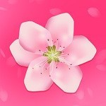 蜜唇直播手机版下载入口