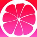 丝瓜香蕉草莓老版app