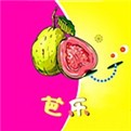 杏仁直播安装包下载地址