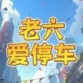 老六爱停车_logo